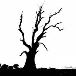 Lifelorn : Katalis Sebuah Obsesi E?.?P.